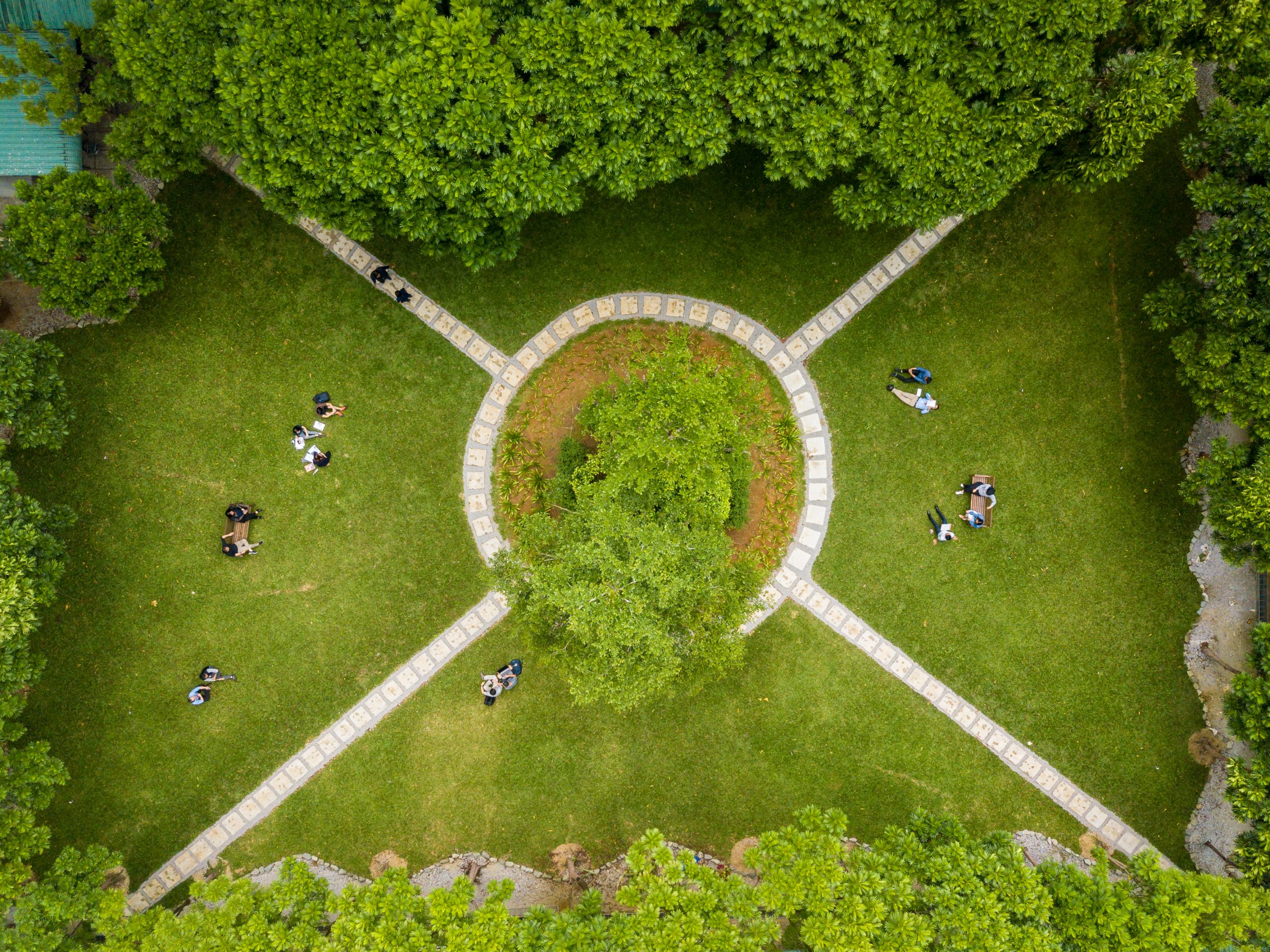 The centre courtyard is particularly inviting spot, offering a lush, green escape from the hustle and bustle of academic life.